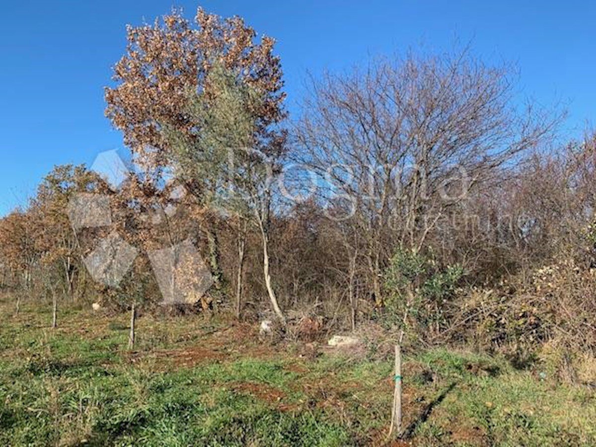 Terreno Vabriga, Tar-Vabriga, 3.554m2