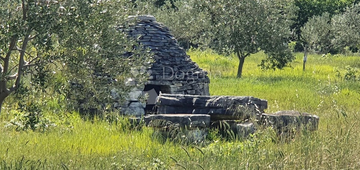 Terreno Vodnjan, 9.909m2