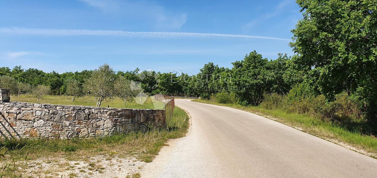 Terreno Vodnjan, 9.909m2