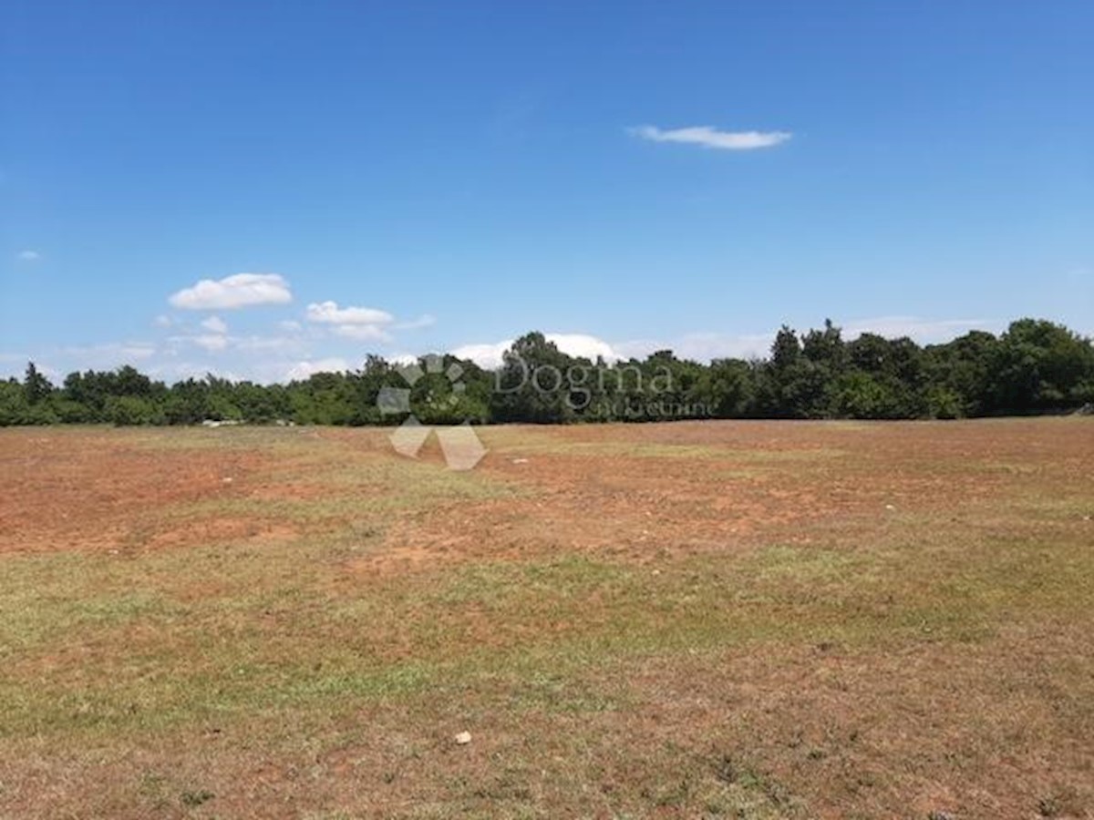 Terreno Filipana, Marčana, 39.887m2