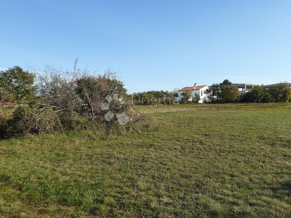 Terreno Bibići, Svetvinčenat, 5.040m2