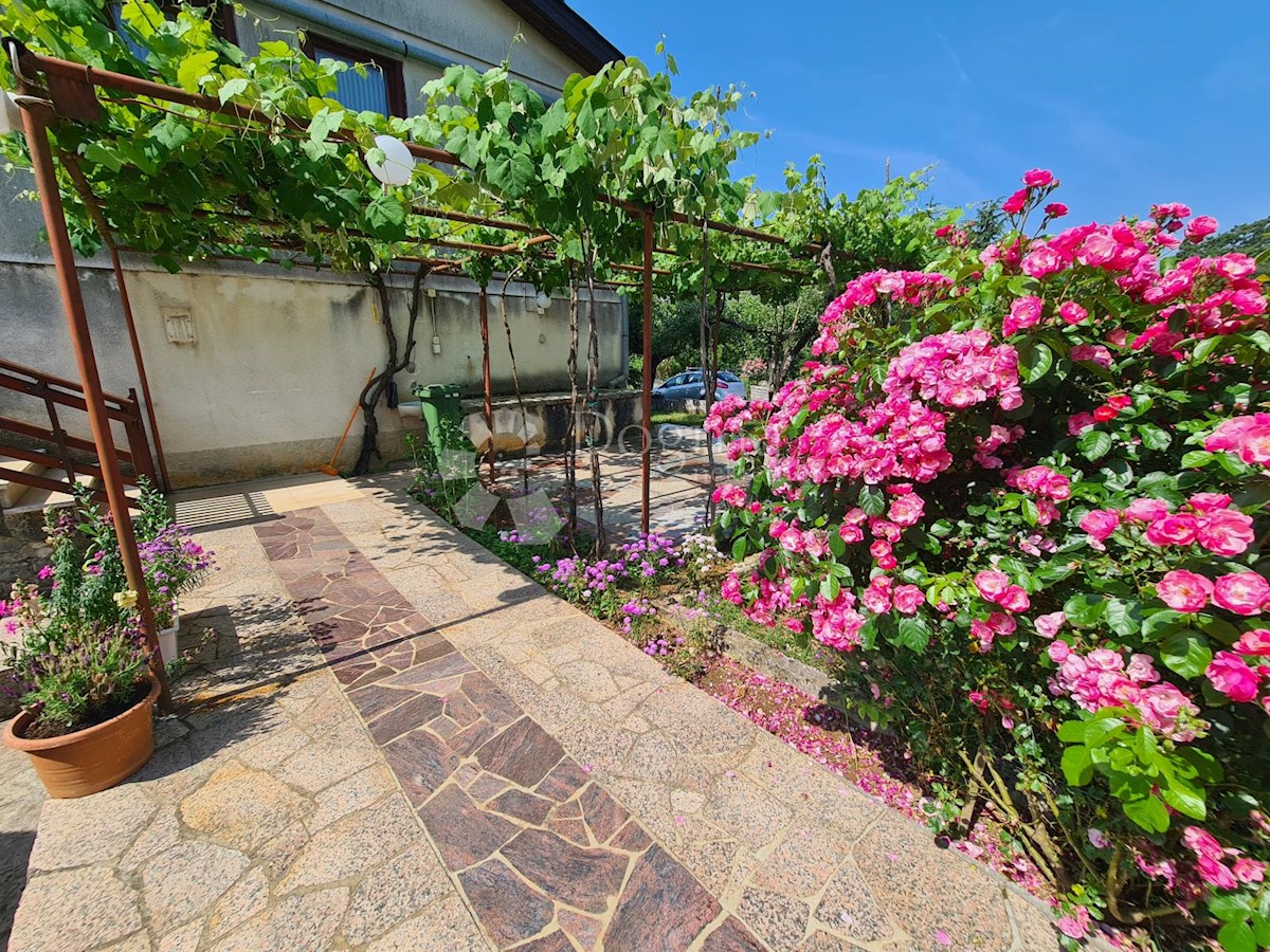 Casa Lovrin, Pazin - Okolica, 180m2