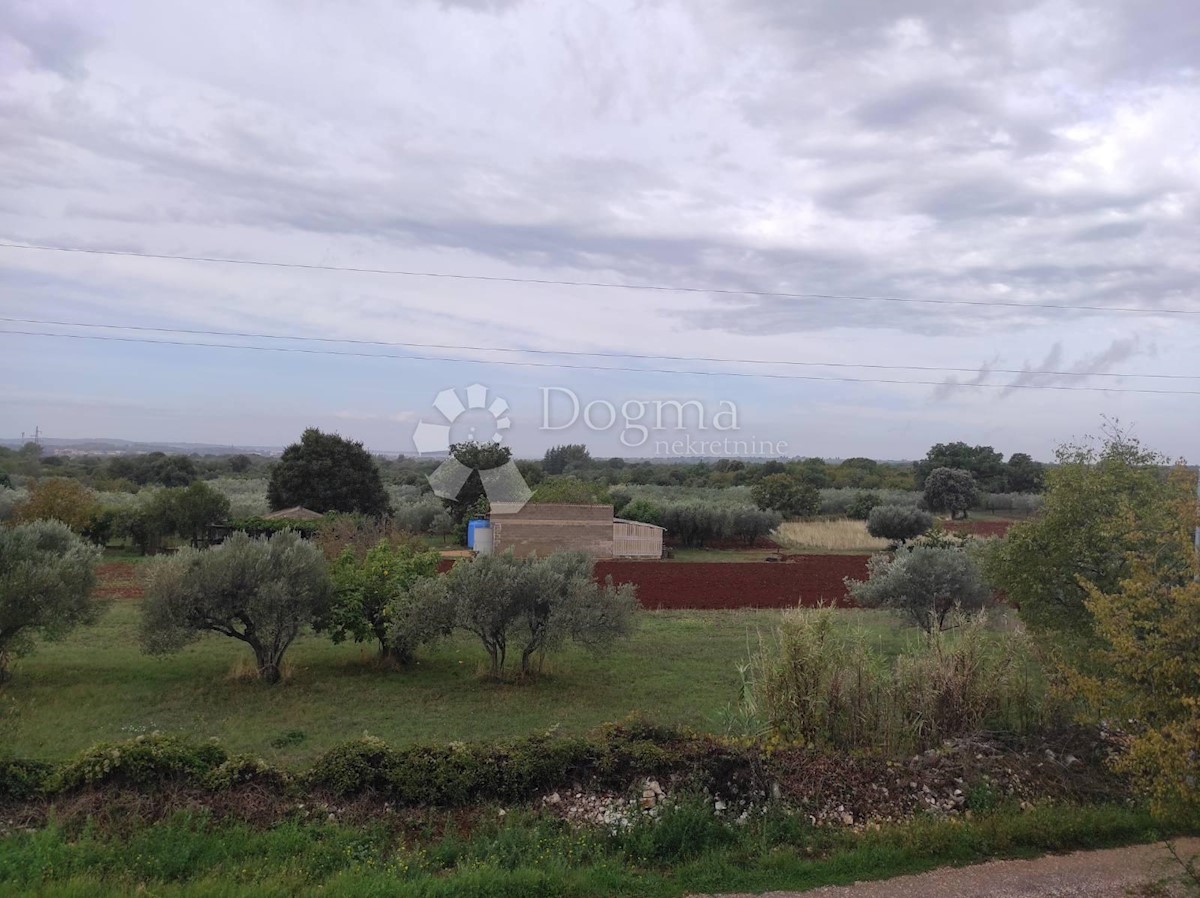 Casa Galižana, Vodnjan, 226,66m2