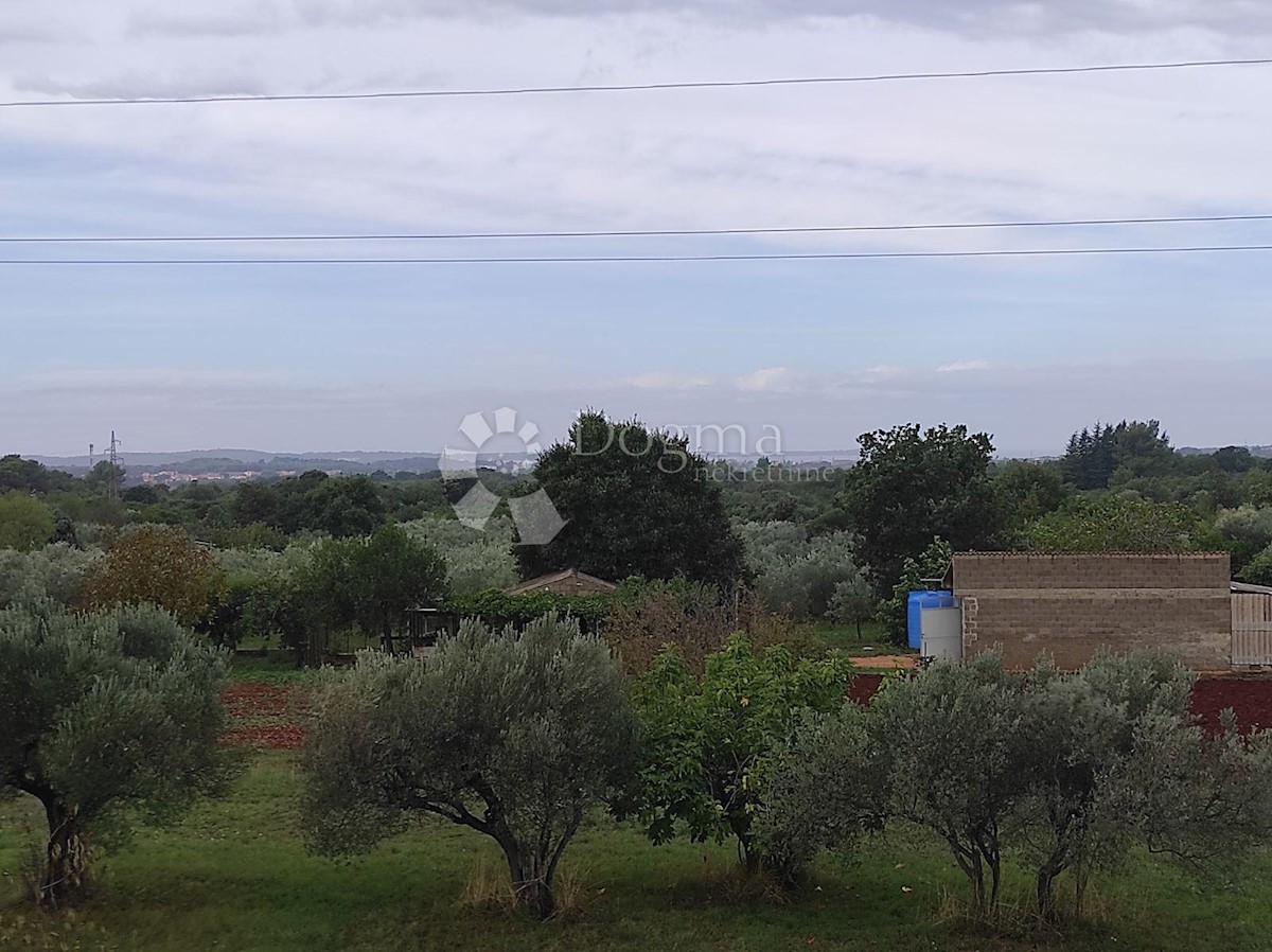 Casa Galižana, Vodnjan, 226,66m2