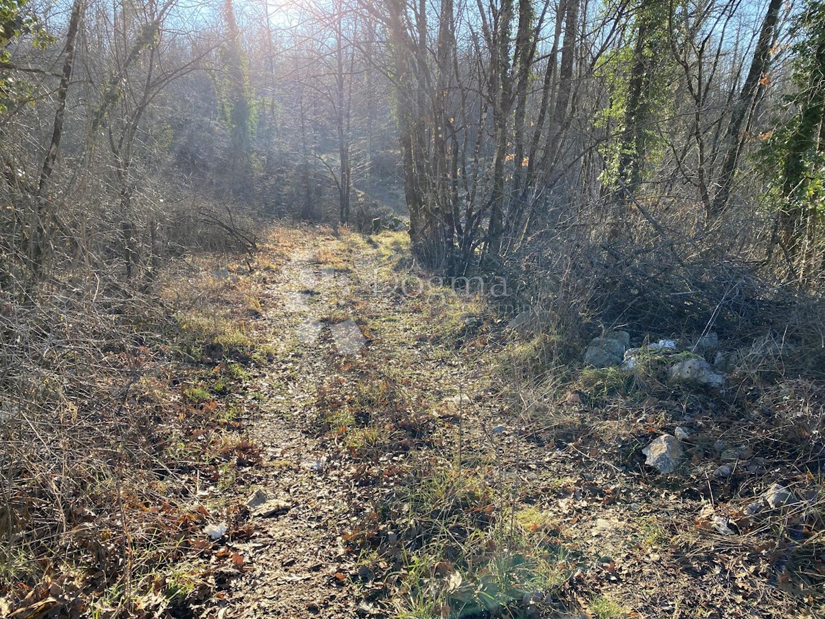 Terreno Permani, Matulji, 4.000m2