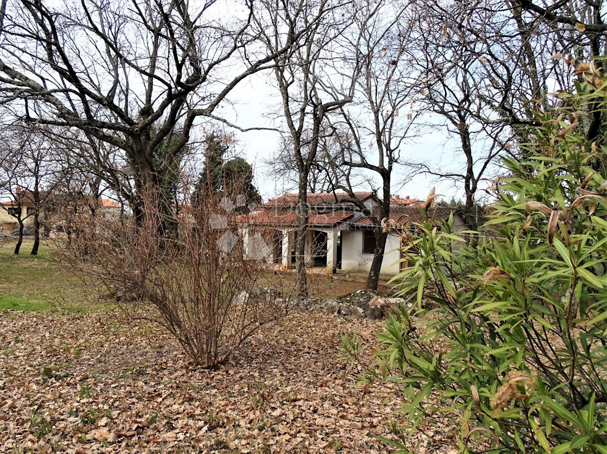 Casa Poreč, 450m2