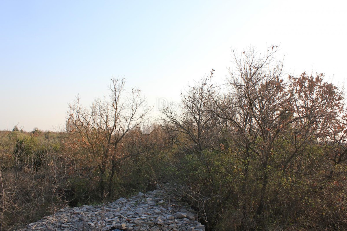 Terreno Gajana, Vodnjan, 11.473m2