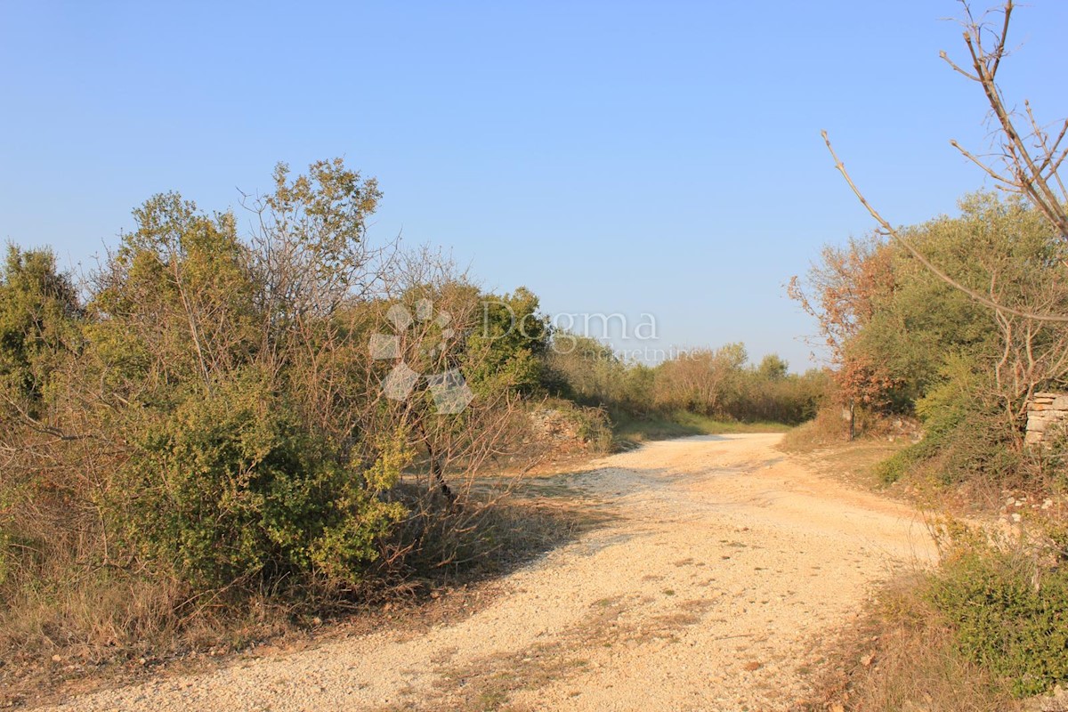 Terreno Gajana, Vodnjan, 11.473m2