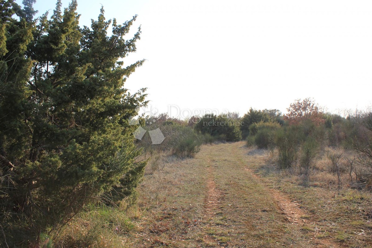 Terreno Gajana, Vodnjan, 11.473m2