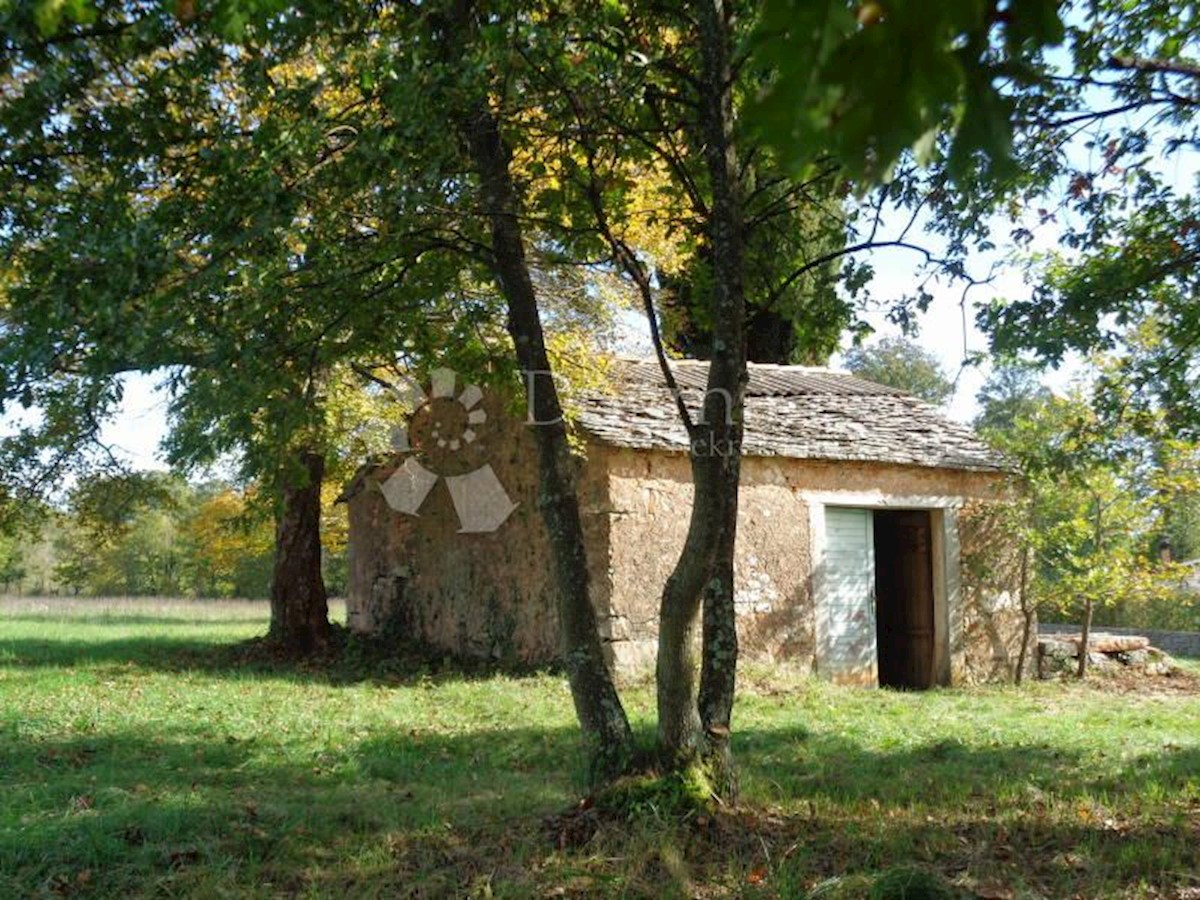 Terreno Jurići, Žminj, 20.000m2