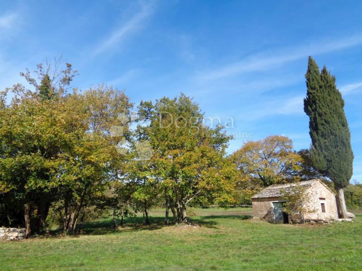 Terreno Jurići, Žminj, 20.000m2