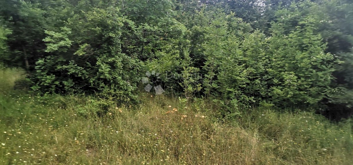 Terreno Rakalj, Marčana, 10.076m2
