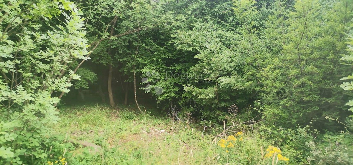Terreno Rakalj, Marčana, 10.076m2