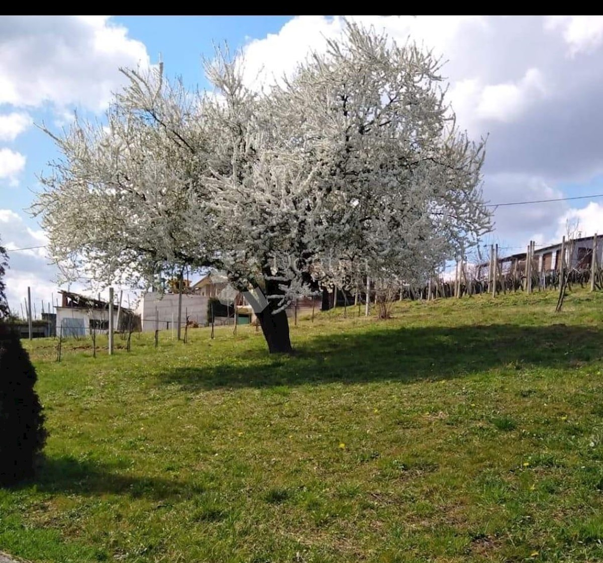 Casa Vinica Breg, Vinica, 148m2