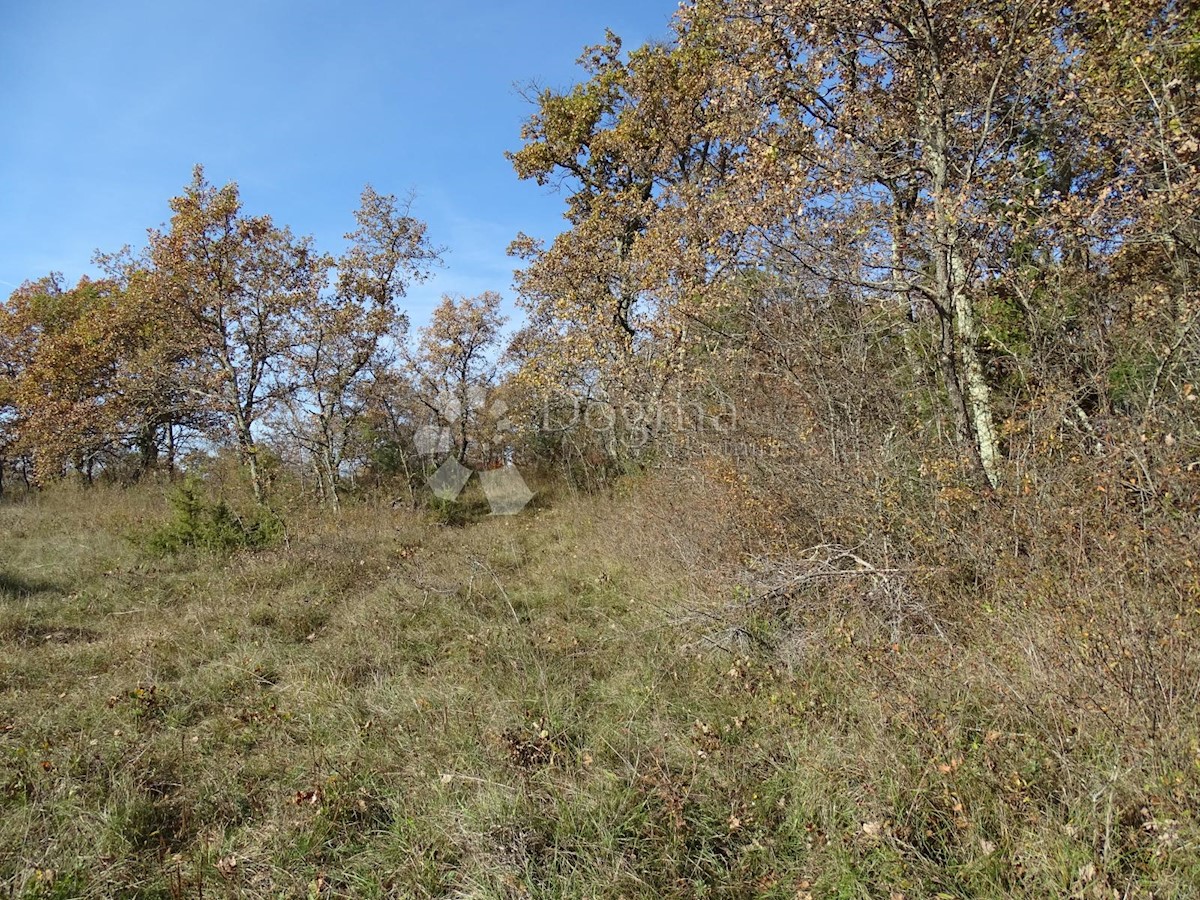 Terreno Završje, Grožnjan, 1.000m2