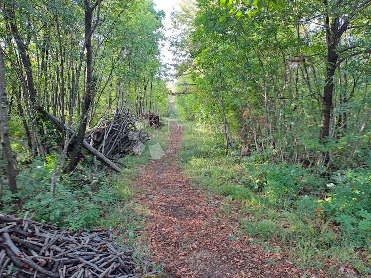 Terreno Drenova, Rijeka, 1.400m2