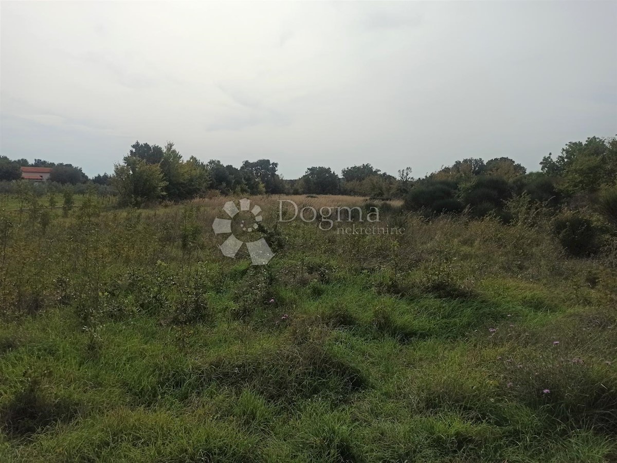 Terreno Ližnjan, 6.042m2