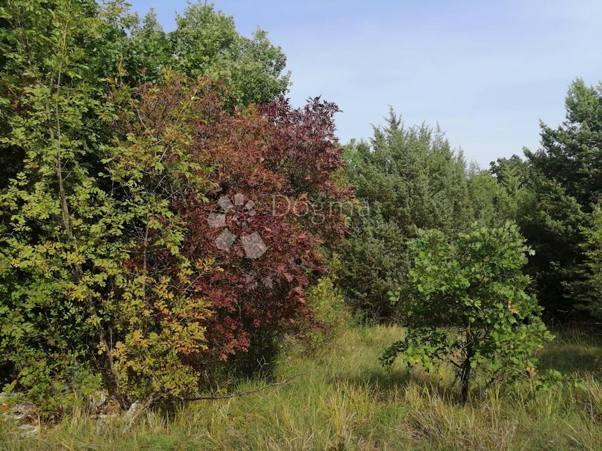 Terreno Bokordići, Svetvinčenat, 34.000m2