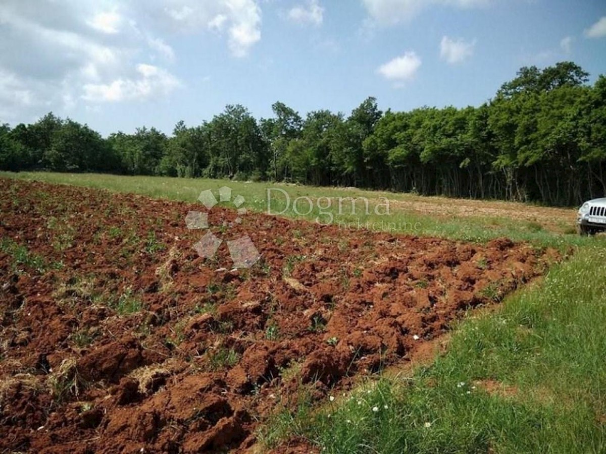 Terreno Bokordići, Svetvinčenat, 34.000m2