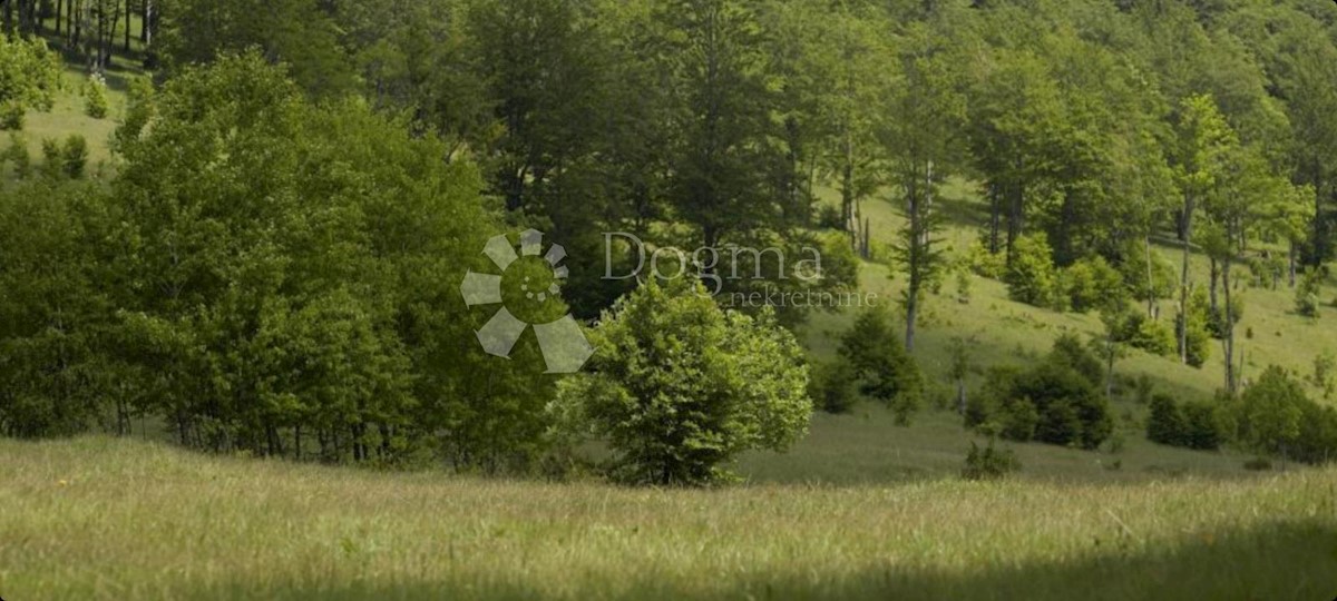 Terreno Stari Laz, Ravna Gora, 38.516m2