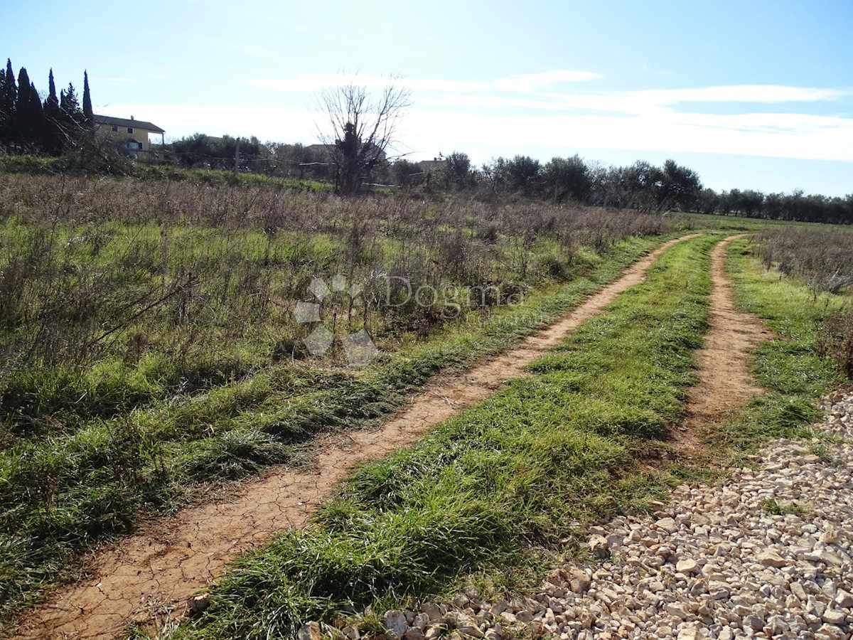 Terreno Škatari, Pula, 12.308m2