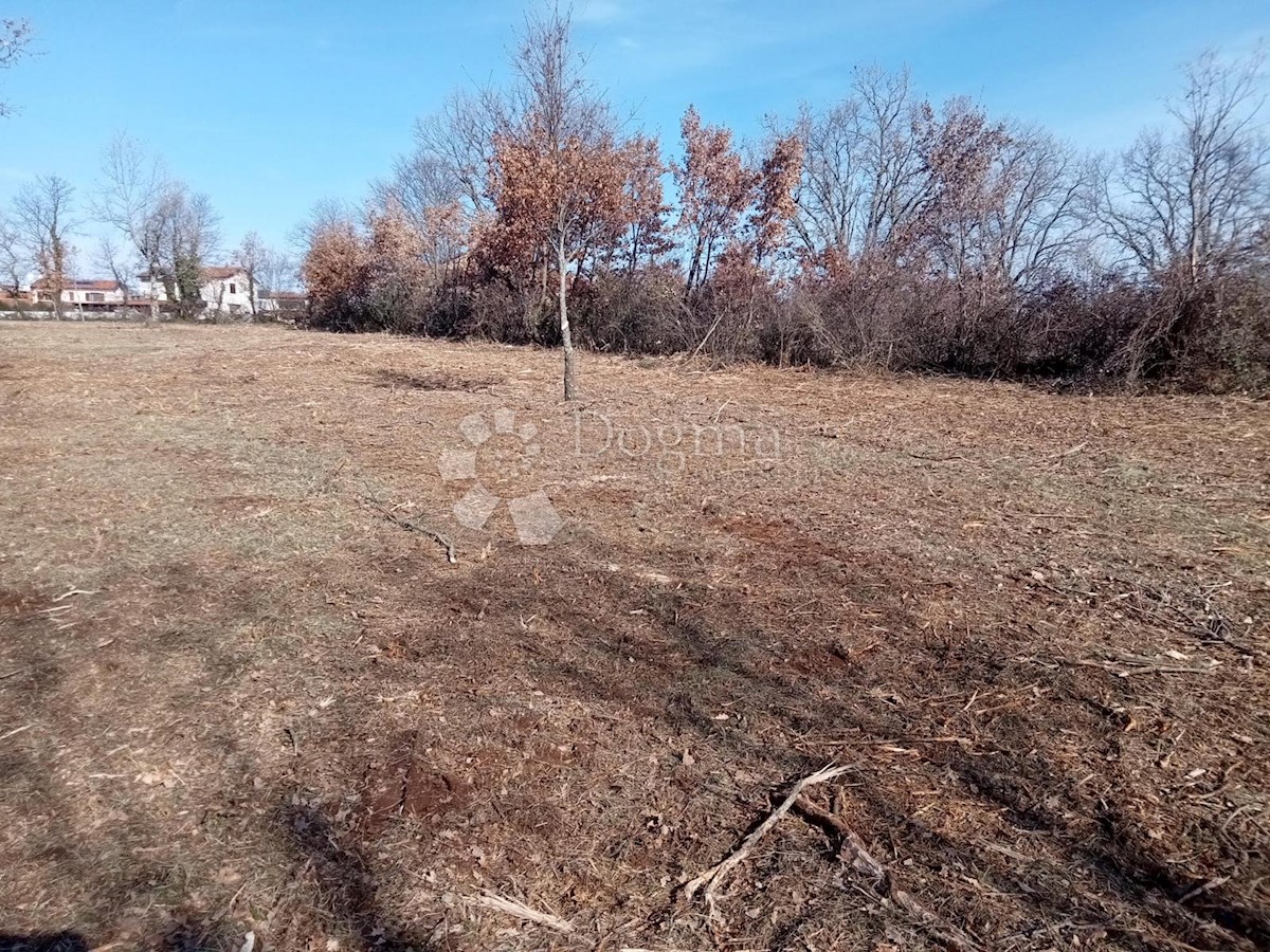 Terreno Žikovići, Višnjan, 5.676m2