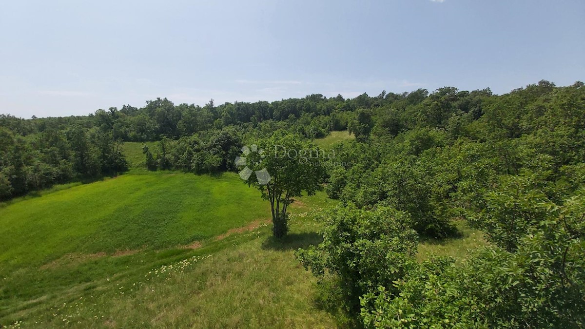 Terreno Snašići, Sveta Nedelja, 15.300m2