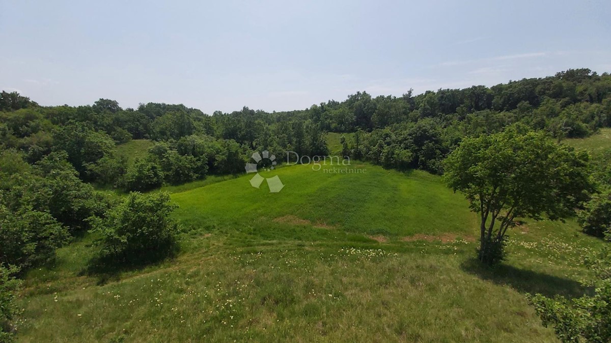 Terreno Snašići, Sveta Nedelja, 15.300m2