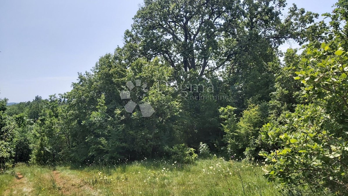 Terreno Snašići, Sveta Nedelja, 15.300m2