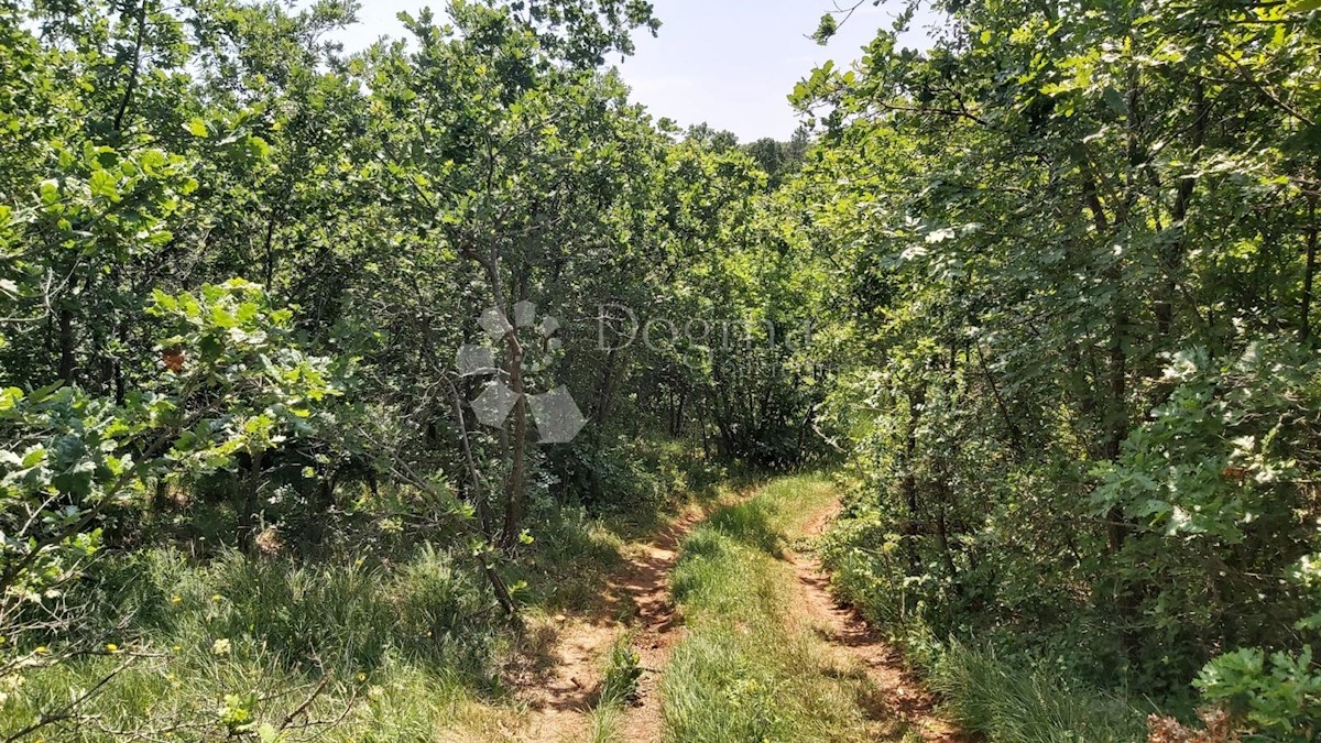 Terreno Snašići, Sveta Nedelja, 15.300m2