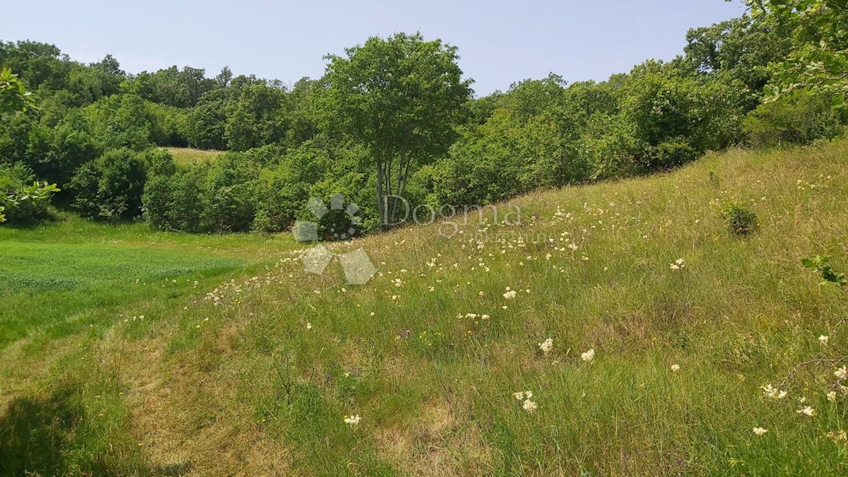 Terreno Snašići, Sveta Nedelja, 15.300m2