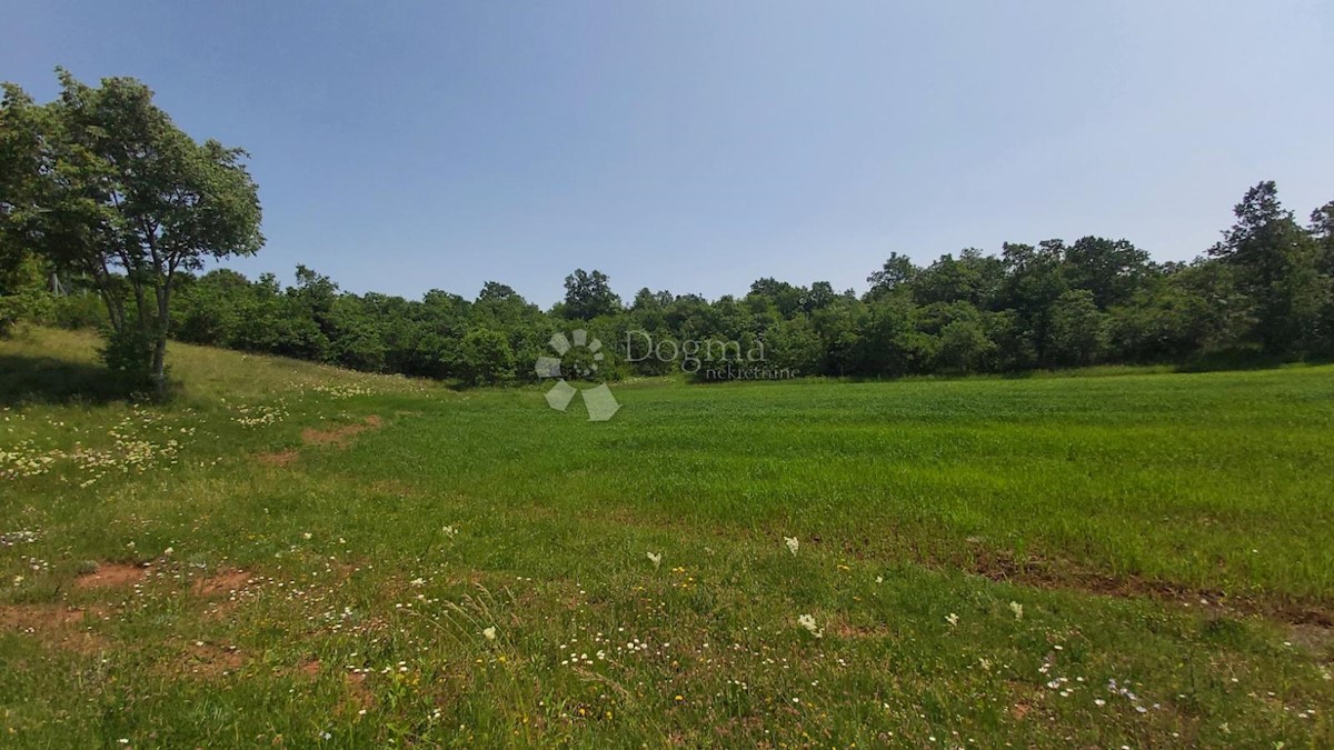 Terreno Snašići, Sveta Nedelja, 15.300m2