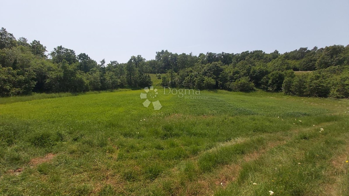 Terreno Snašići, Sveta Nedelja, 15.300m2