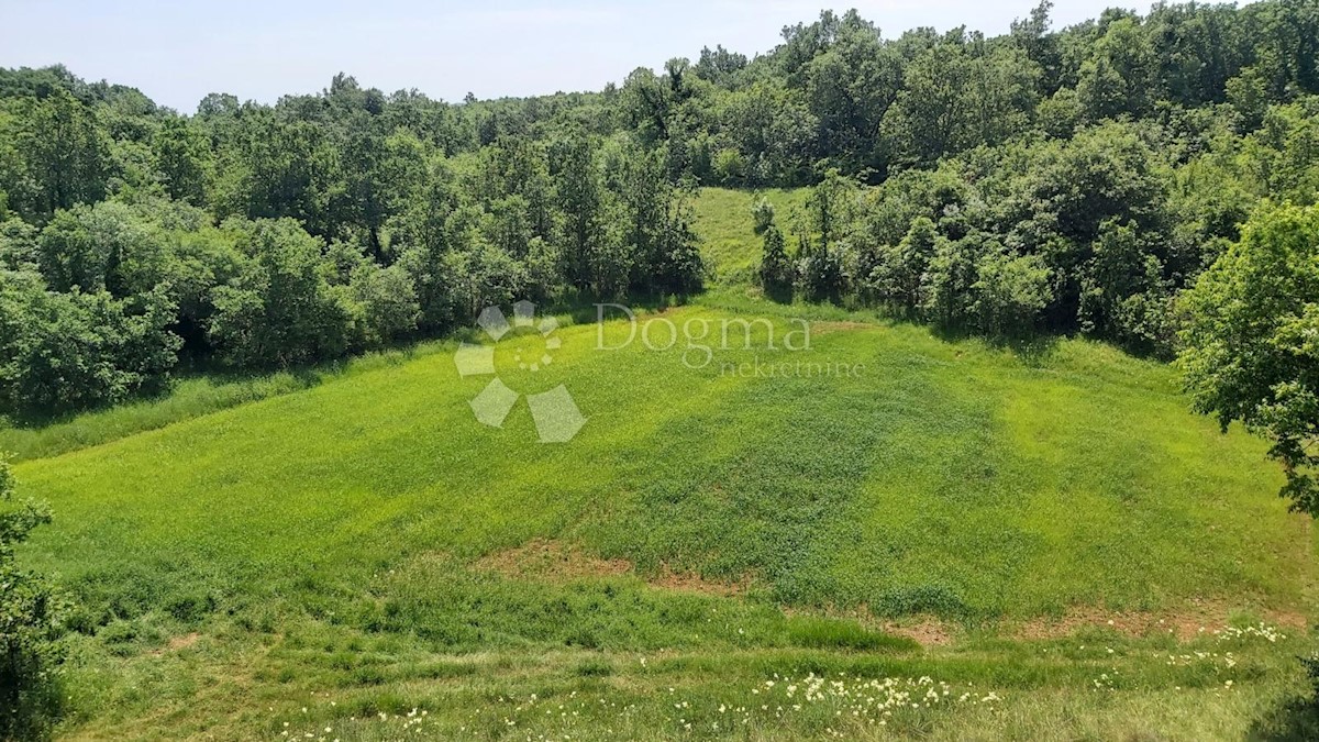 Terreno Snašići, Sveta Nedelja, 15.300m2