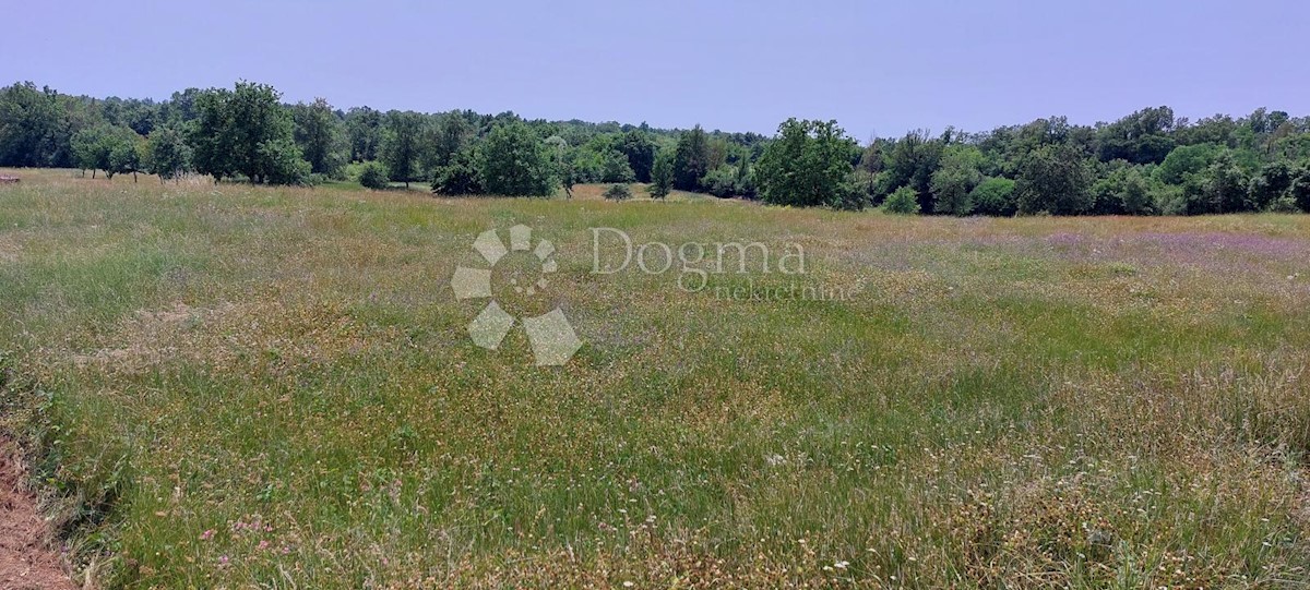 Terreno Šušnjići, Poreč, 20.024m2