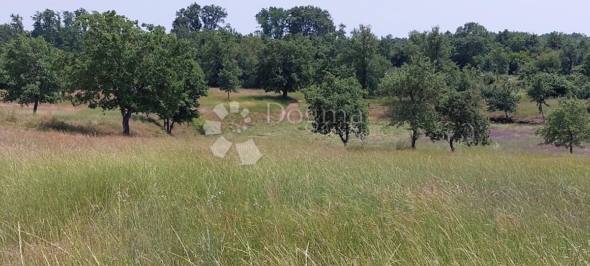 Terreno Šušnjići, Poreč, 20.024m2