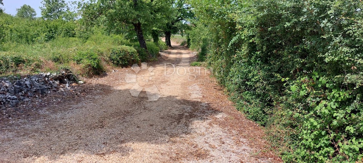 Terreno Šušnjići, Poreč, 20.024m2