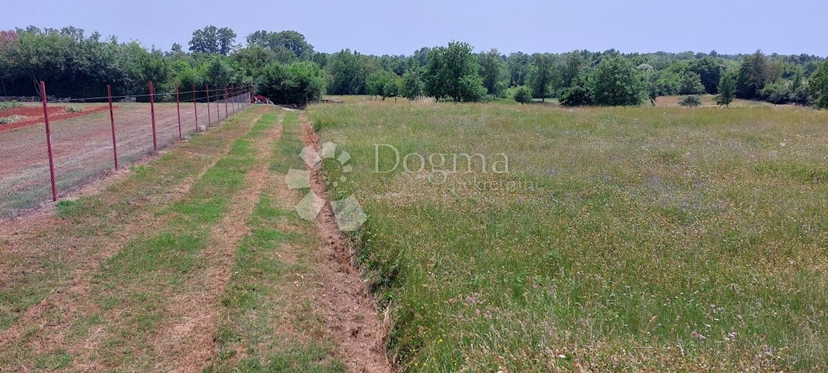 Terreno Šušnjići, Poreč, 20.024m2