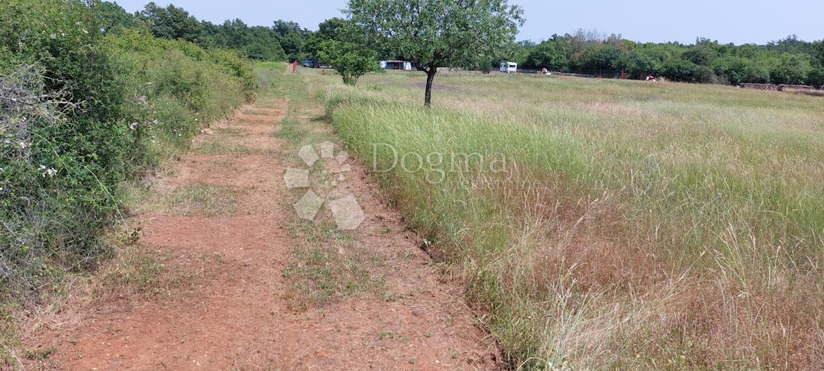 Terreno Šušnjići, Poreč, 20.024m2