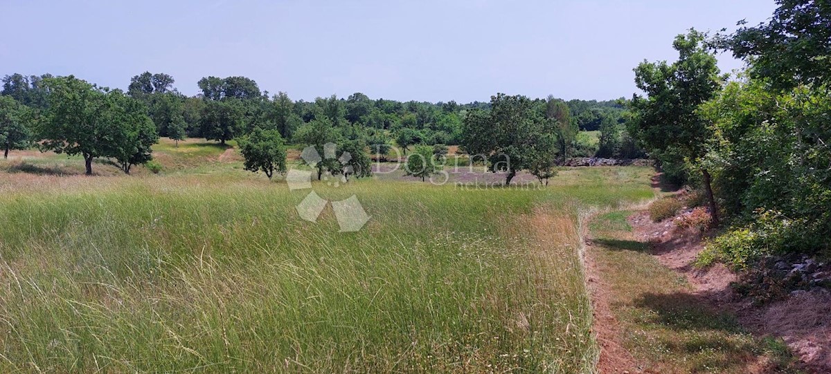 Terreno Šušnjići, Poreč, 20.024m2