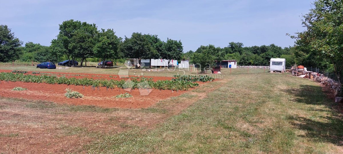 Terreno Šušnjići, Poreč, 20.024m2