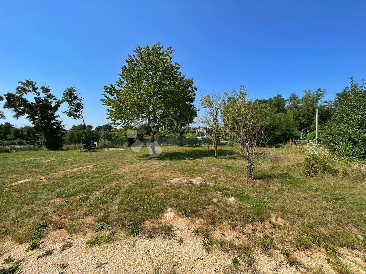 Terreno edificabile con progetto