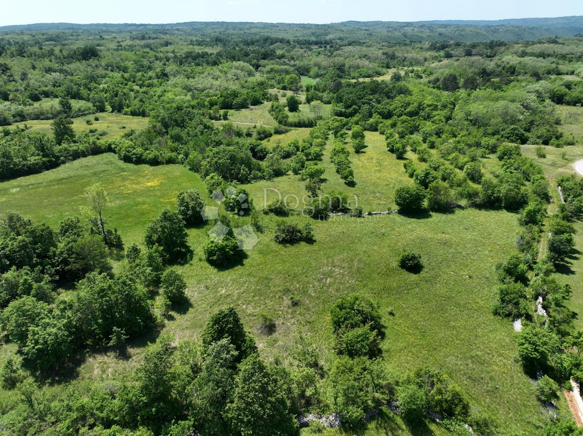 Terreno Nedešćina, Sveta Nedelja, 8.180m2