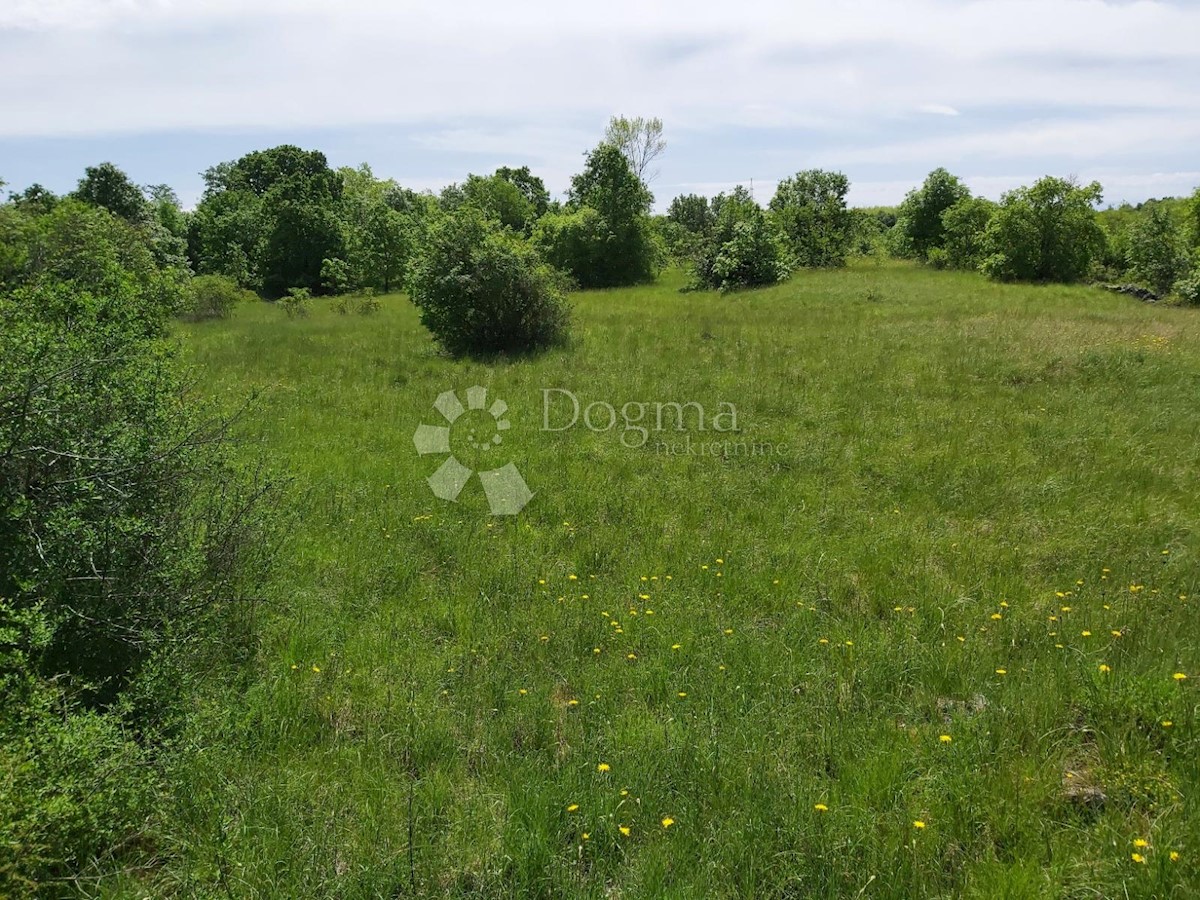 Terreno Nedešćina, Sveta Nedelja, 8.180m2