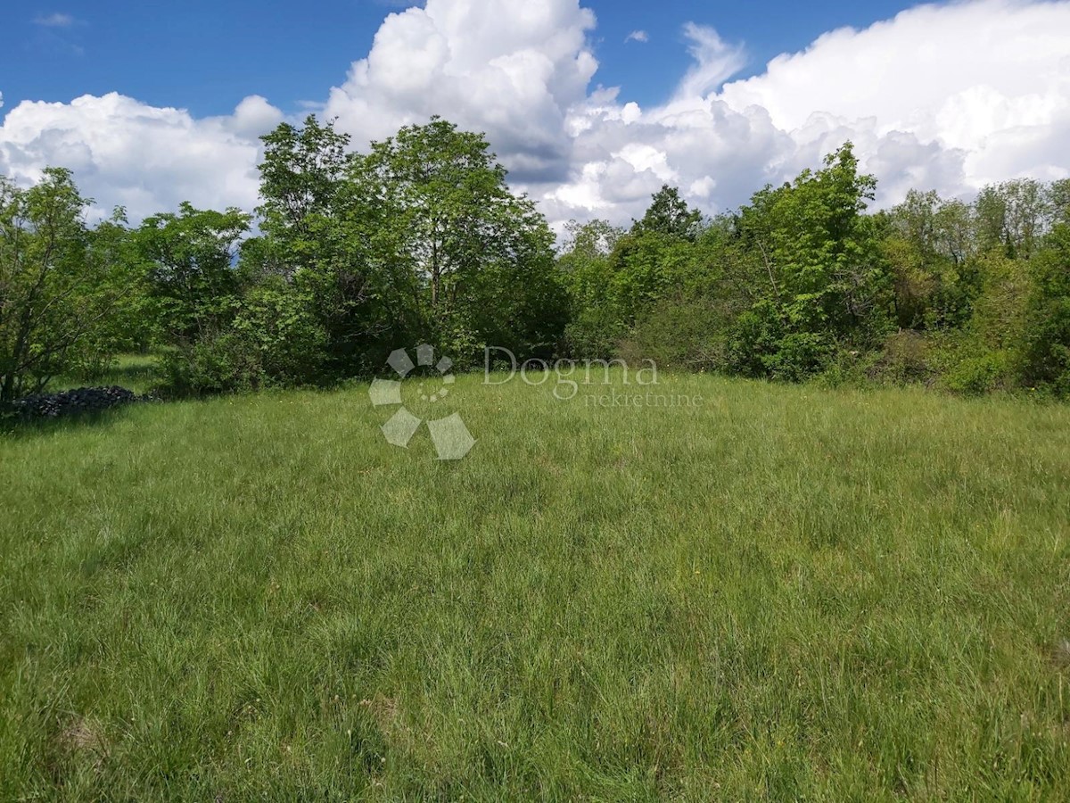 Terreno Nedešćina, Sveta Nedelja, 8.180m2