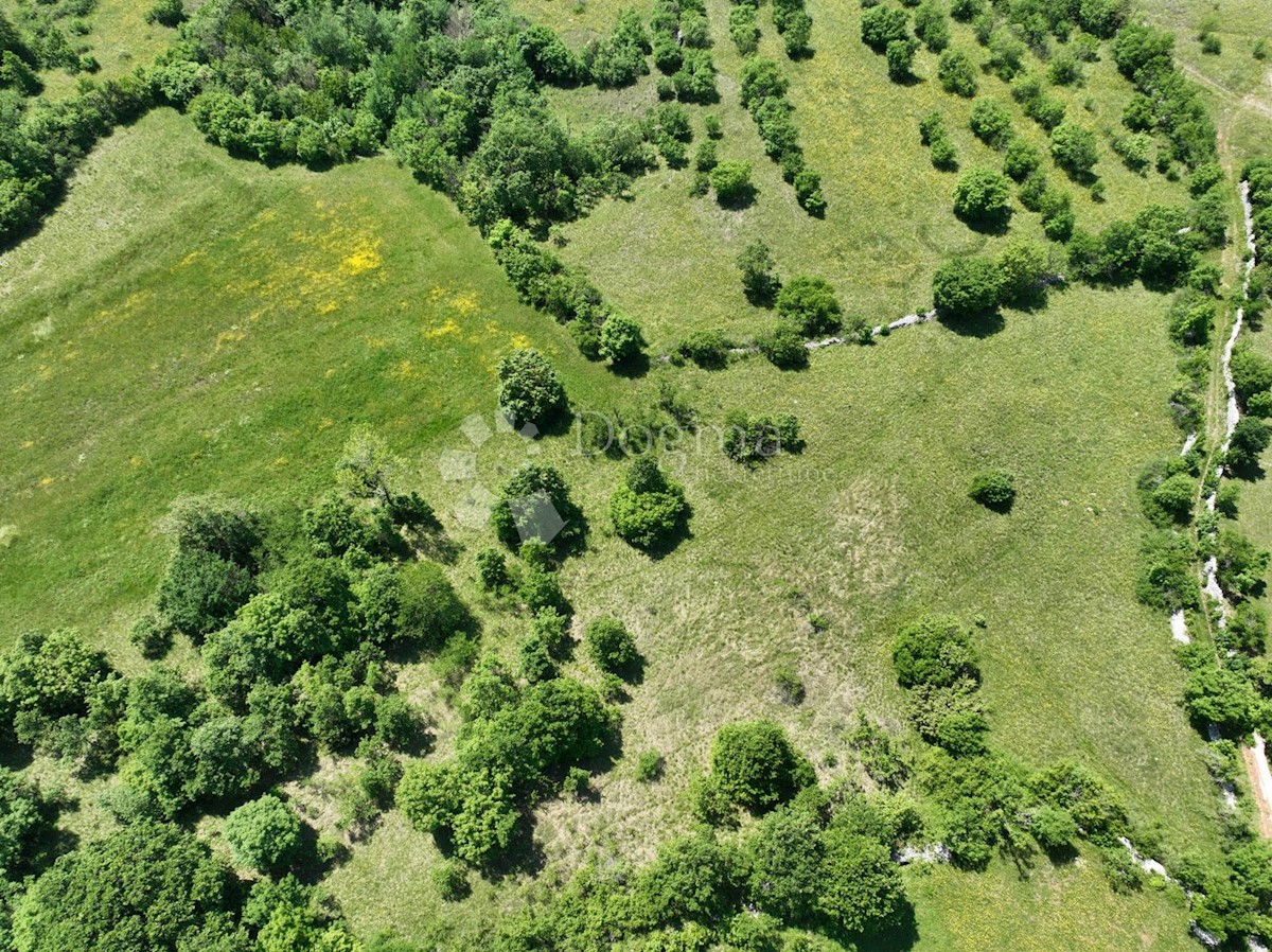 Terreno Nedešćina, Sveta Nedelja, 8.180m2