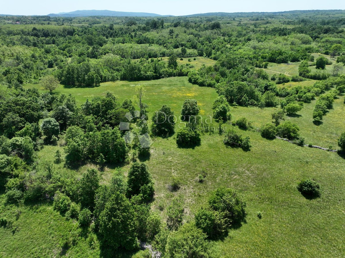 Terreno Nedešćina, Sveta Nedelja, 8.180m2