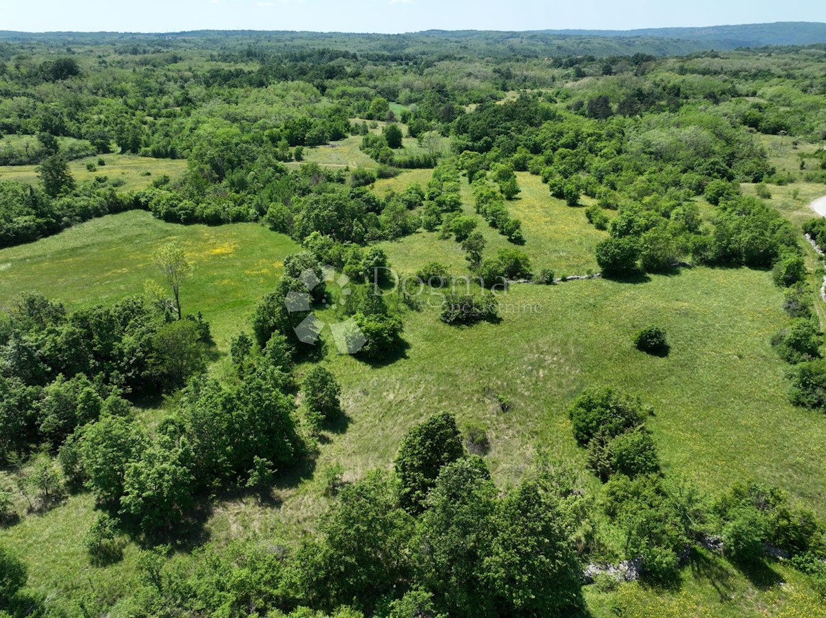 Terreno Nedešćina, Sveta Nedelja, 8.180m2