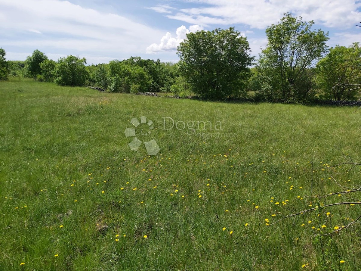 Terreno Nedešćina, Sveta Nedelja, 8.180m2