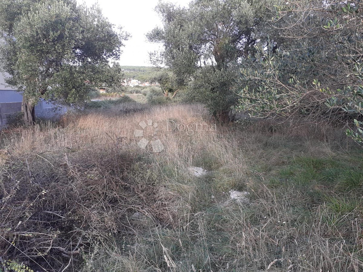 Terreno Bibinje, 784m2